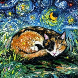 Meet your Posher, Calila